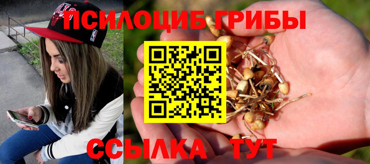 Галлюциногенные грибы мухоморы Красноперекопск